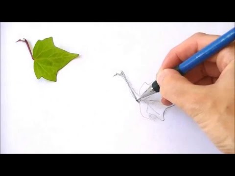 Piktori dhe piktura e tij - Hoxhë Qëndrim Jashari