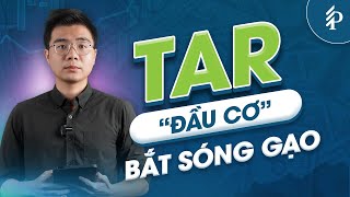TAR: Cổ phiếu ngành gạo đáng đầu tư nhất hiện nay?