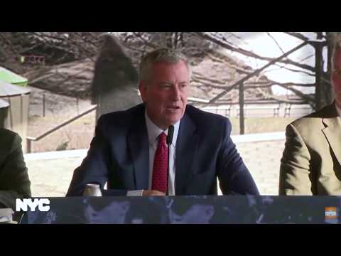 NYC On Hate DeBlasio