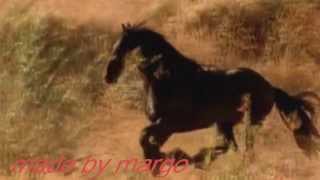 on my fathers wings- The Corrs