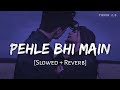 Pehle Bhi Main Slowed Reverb Animal Vishal Mishra Galat Kya Sahi Kya Mujhe Na Pata Hai Lofi