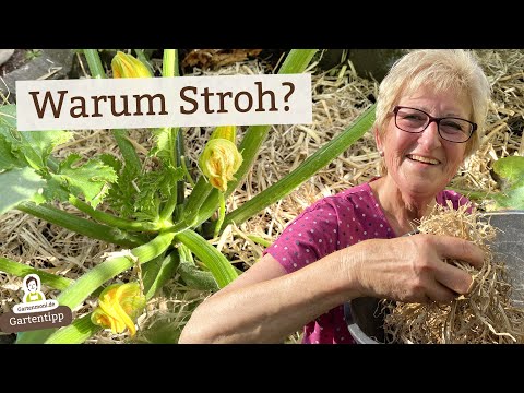Why mulching with straw is so much better