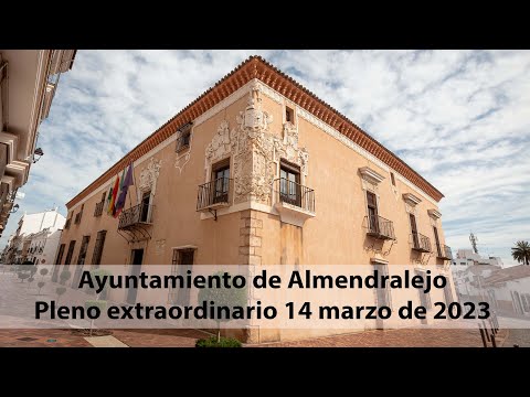 Pleno extraordinario Marzo