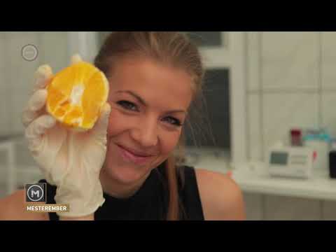 Mesterember - Kutyaeledel-gyártó