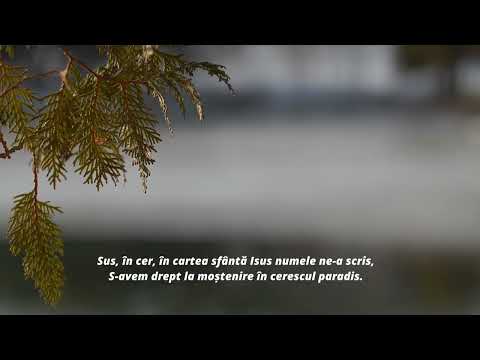 I was wandering a stranger through the world | Old Songs 2025