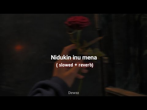 Nidukin inu mena - නිදුකින් ඉනු මැන (slow + reverb) | with lyrics