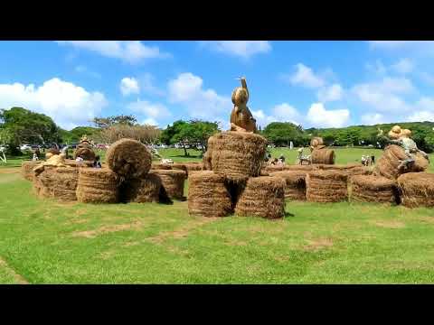 Pingtung County Hengchun Town Sheding Parque Natural Pavilhão Lingxiao + Ponte Suspensa do Porto da Cidade de Manzhou + Prêmio Águia da Cidade de Manzhou2021/10/10 (Data Estrela)