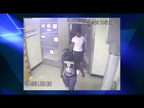 NYC Astoria Crime Spree