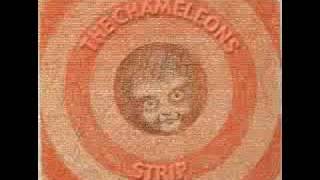 The Chameleons- Strip- &quot;Here Today&quot;