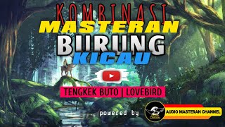 Download lagu KOMBINASI MASTERAN : Tengkek Buto | LOVEBIRD [BACKSound Gemericik AIR] mp3