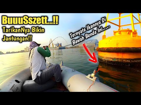 Ngeri..!! Benda Kuning Mengapung Di air Ini Menjadi Sarang Ikan Babon yang sangat Misterius.