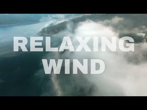 15 min Wind howling relaxing video  | NATURE SOUND | MOUNTAINS