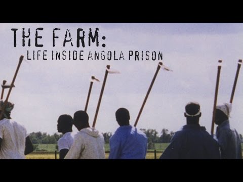 The Farm: Angola, USA ( 1998 )