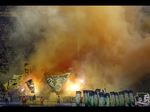 BORUSSIA DORTMUND ULTRAS -- BEST MOMENTS