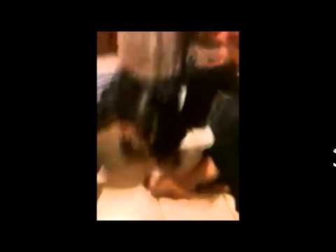 There was a cake Thug Life (partida de pastel)