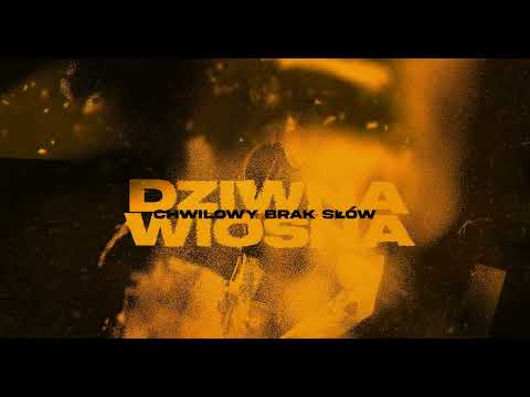 Dziwna Wiosna – Chwilowy brak słów (Official audio)