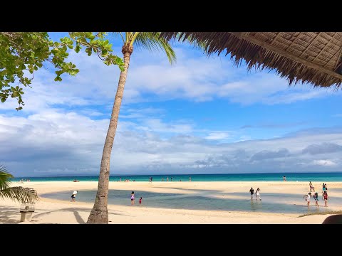 Camp Sawi #Shorts #Cebu