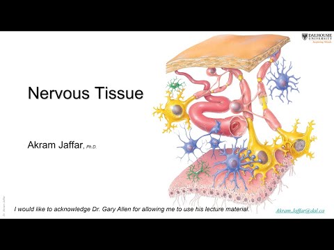 ANAT1010_13_Nervous tissue + Anki flashcards