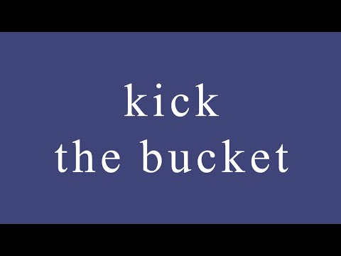 Idiom: What does "kick the bucket" mean?