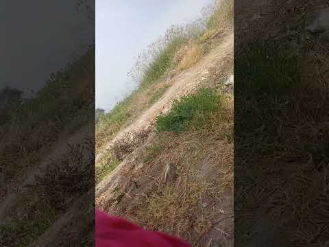 16 de diciembre de 2025