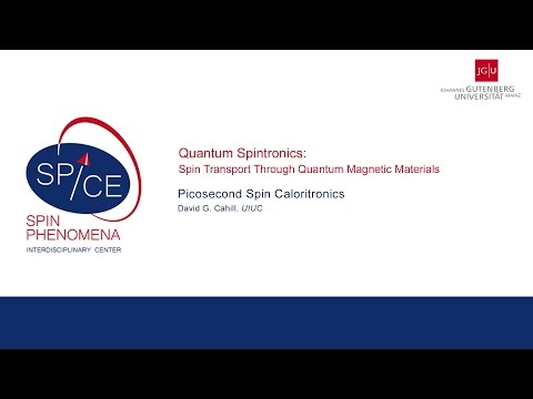 SPICE Quantum Spintronics Workshop - David Cahill - Picosecond Spin Caloritronics