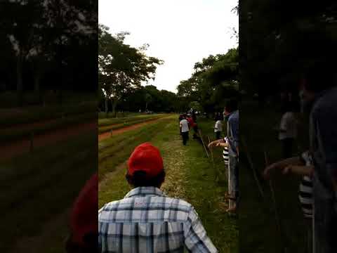 Carrera de caballo Resquin San Pedro  Alasan Nino vs Alasana Macho Imlach