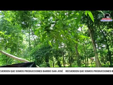 Aldea el Xab, Municipio del Asintal Retalhuleu