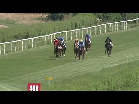 2021.07.25. 01. futam - REMÉNY DÍJ (II.kat.)