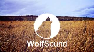 Skultik - Liquid Spoke [Wolf Sound]