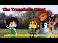 The Transform Quest Clip Perdimos El Rumbo Michel Encuentra A Los Chicos
