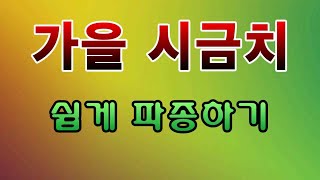 [텃밭농부.780]  가을시금치 손쉬운 파종 #시금치재배