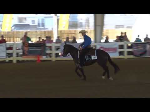 180525 NP Derby Ronny Lane Colston Shiney Bay Gun