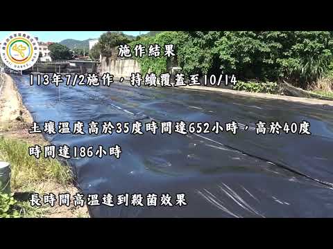 草莓田區土壤消毒示範成果