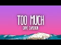 Dove Cameron Too Much