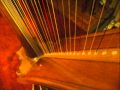 Chansons De La Nuit