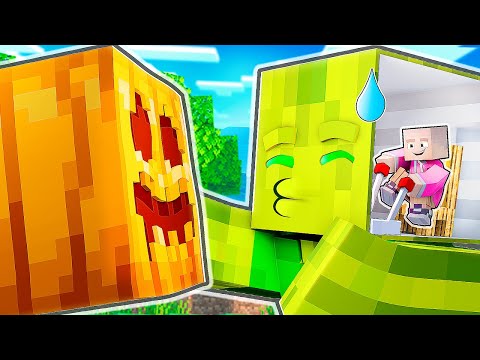 24 STUNDEN ALS CHAOSFLO PRANKEN | Minecraft Freunde