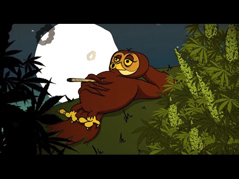 Video thumbnail for Silent Flight