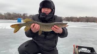 Ice fishing for some Nice Action Northern pikes mn 2019