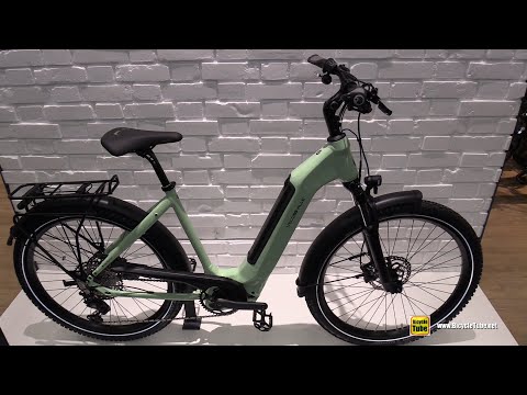 Amazing Lady Bike ! 2023 Velo de Ville AEB 990 Smart Smooth