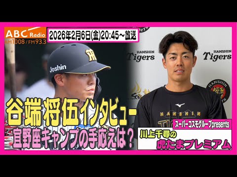 【ルーキー唯一の宜野座組】ABCラジオ「川上千尋の虎たまプレミアム！」谷端将伍選手のインタビューをお届け！！阪神タイガース密着！応援番組「虎バン」ABCテレビ公式チャンネル
