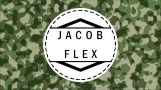 Invincible Lowdown-Vicetone Vs Borgeous (Jacob Flex MashUp)