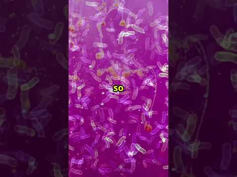 What’s the Smallest Living Thing?  ||  The Tiny World on Your Fingertips!  ||  QuickBytes