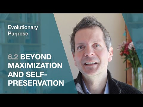 6.2 Beyond maximization and self-preservation (Evolutionary Purpose)