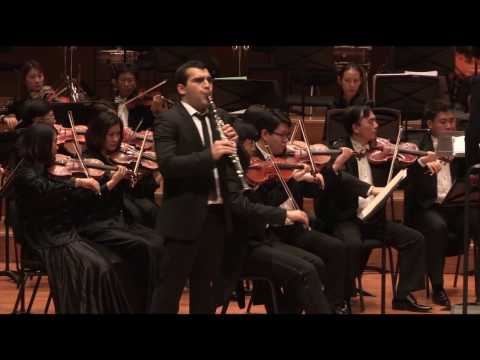 Louis Spohr - Clarinet Concerto No 1. I. Adagio-Allegro