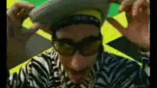 Ali-G &amp; Shaggy - Me Julie