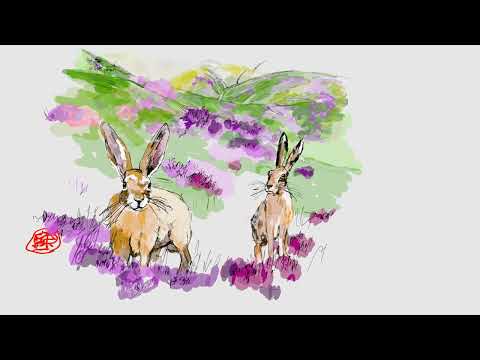 Hares on Hill