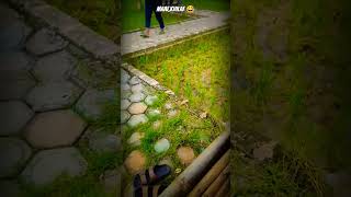 Download lagu video lucu story wa ramadhan 30 detik terbaru 2023 #storywa30detik #videolucuterbaru #shortslucu mp3