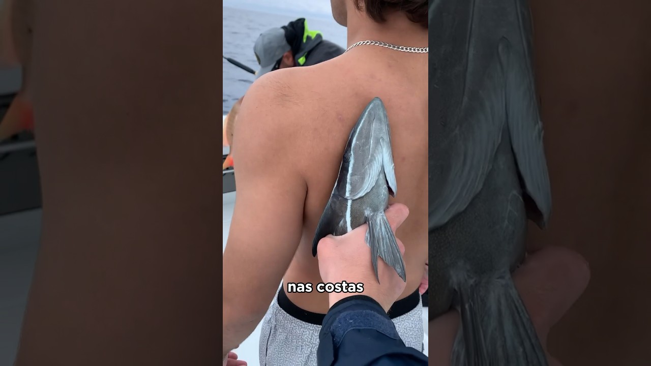 Esse peixe grudou nas costas dele e não soltou mais 😰