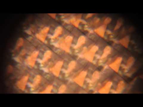 "Mosaic Hearts" Marya Stark - Official Video