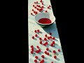 Paul McCartney - Junk (Full Version)